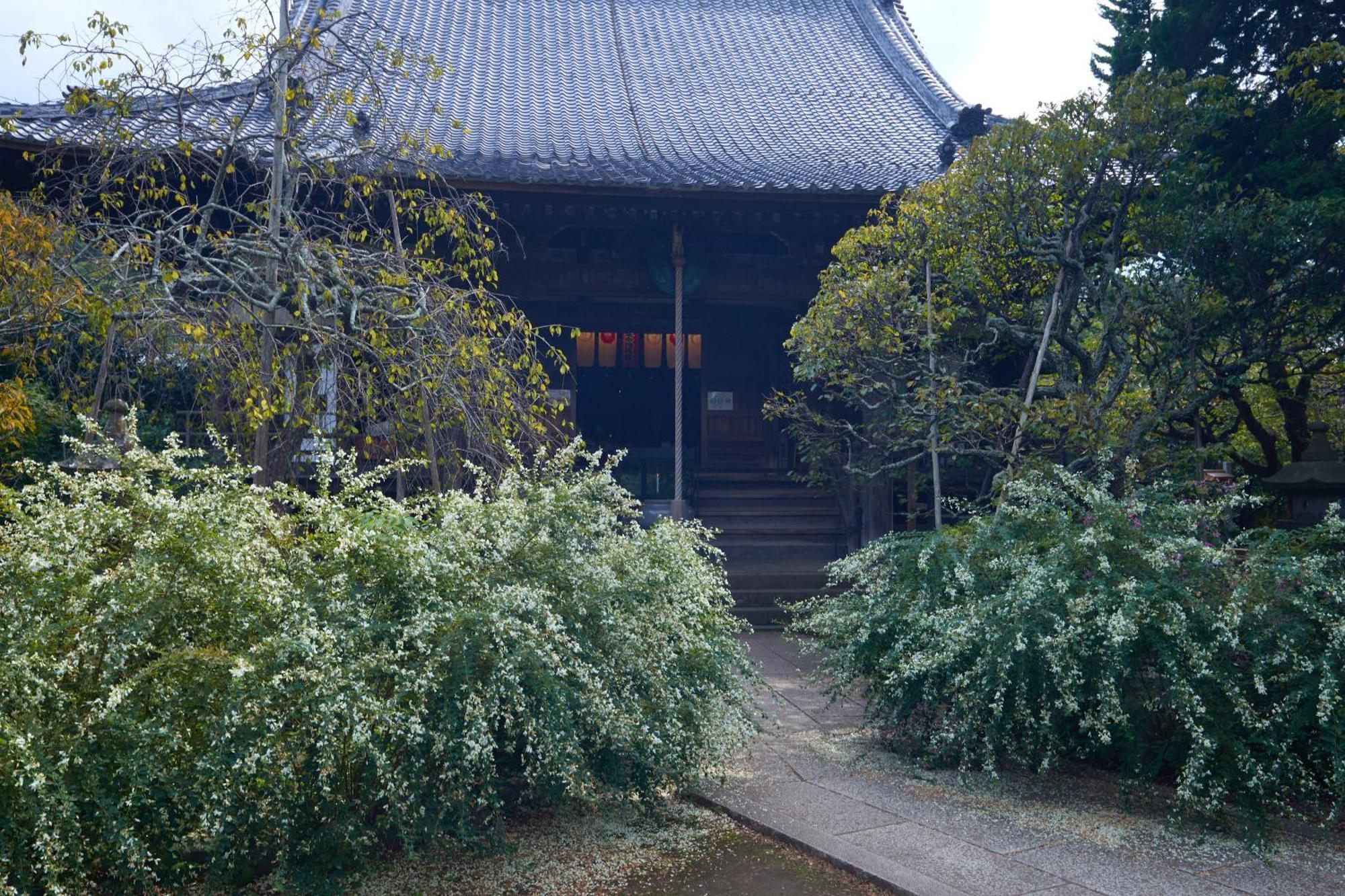 Kamakura Hotel 外观 照片